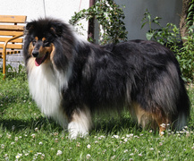 Geronimo
