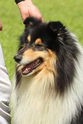 Tim