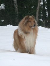 Athos
